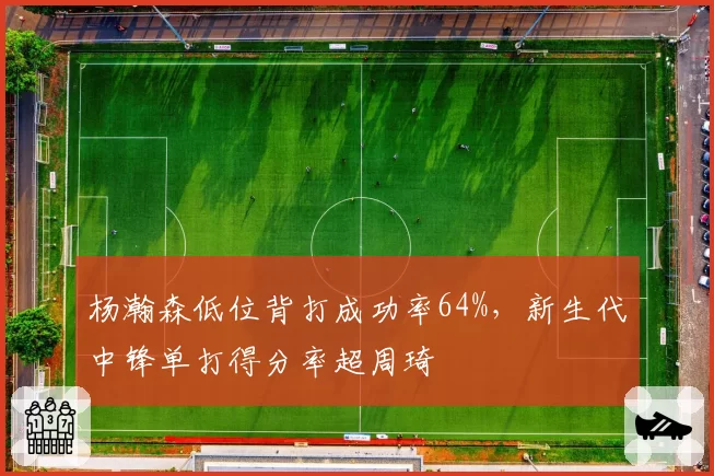 杨瀚森低位背打成功率64%，新生代中锋单打得分率超周琦