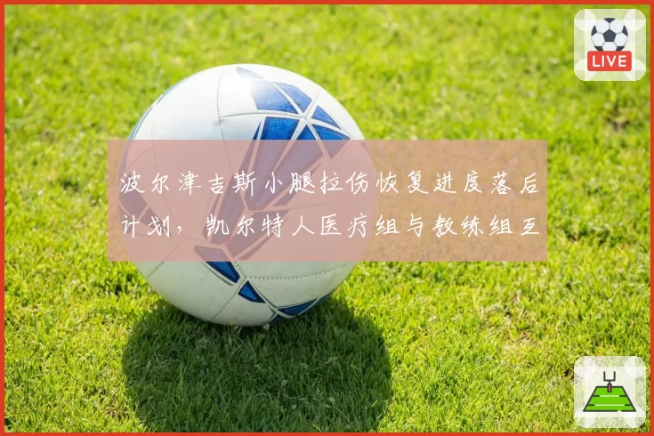 波尔津吉斯小腿拉伤恢复进度落后计划,凯尔特人医疗组与教练组互推责任